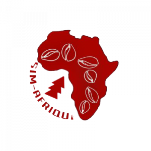 SIM-AFRIQUE